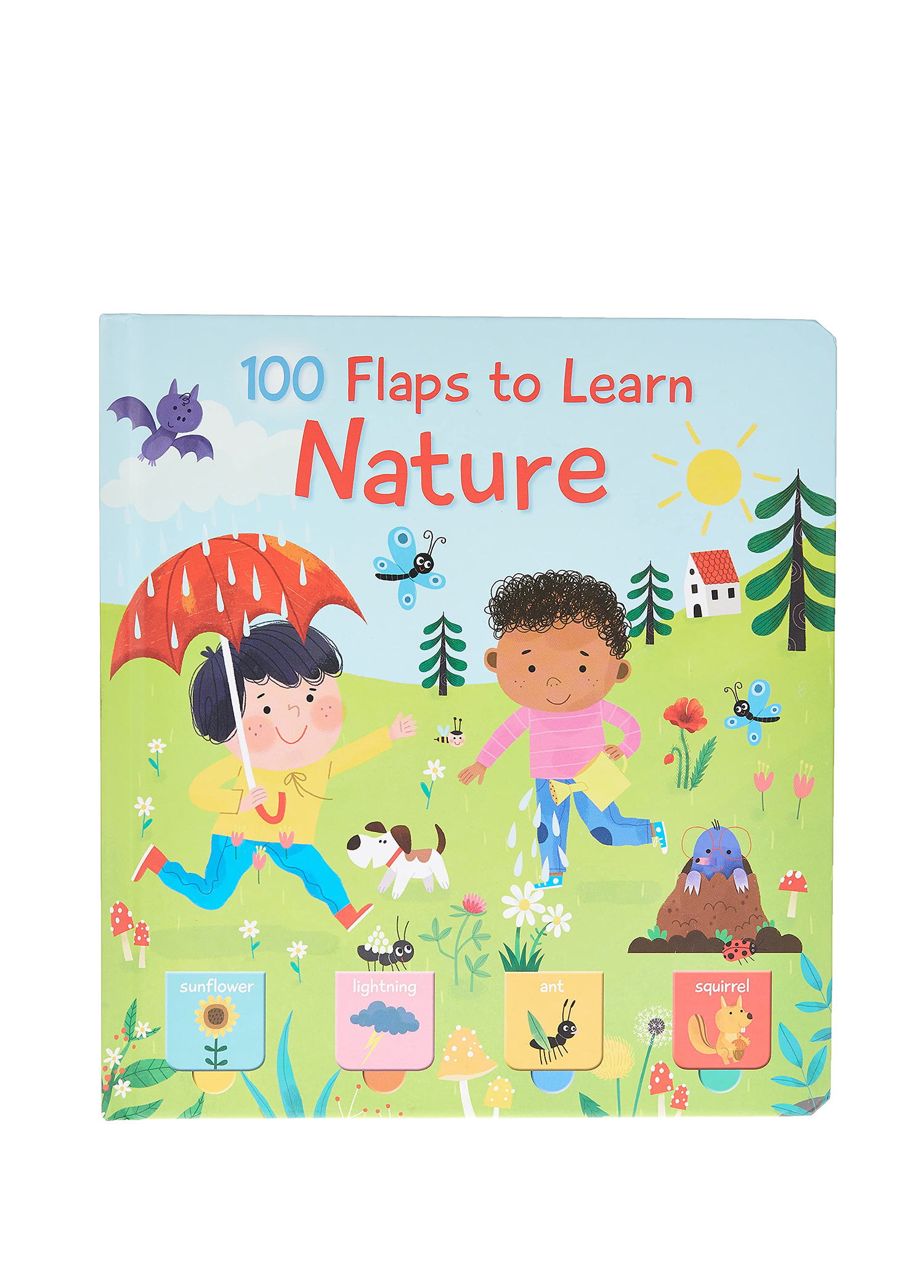 100 Flaps To Learn Nature Book