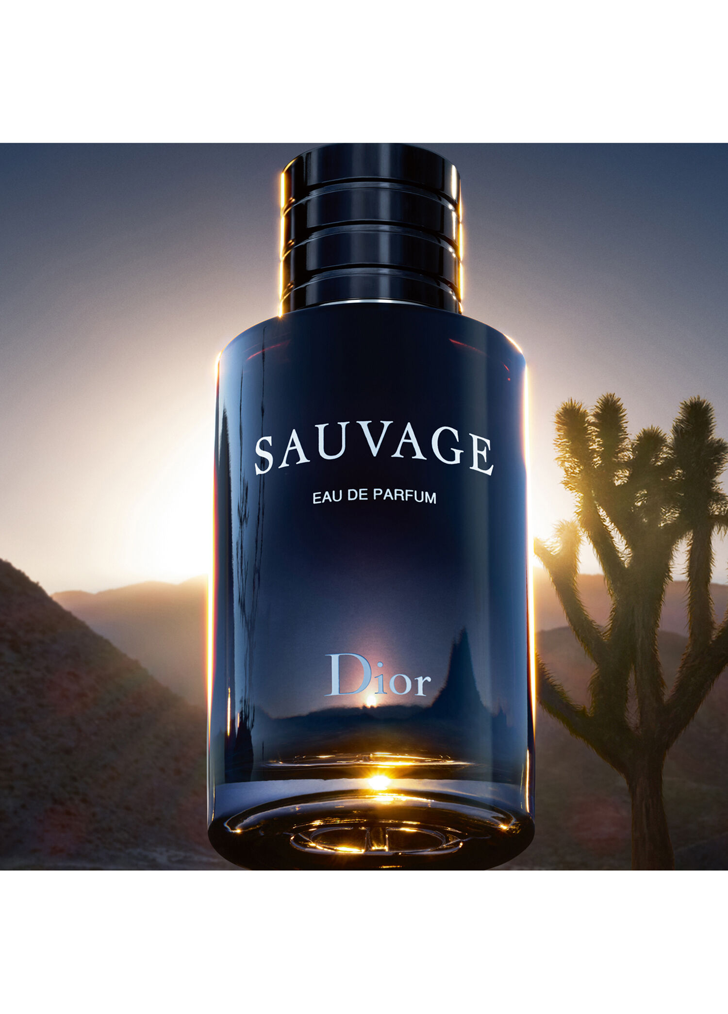 Dior - Sauvage Eau De Spray 100 ml EDP Parfüm -