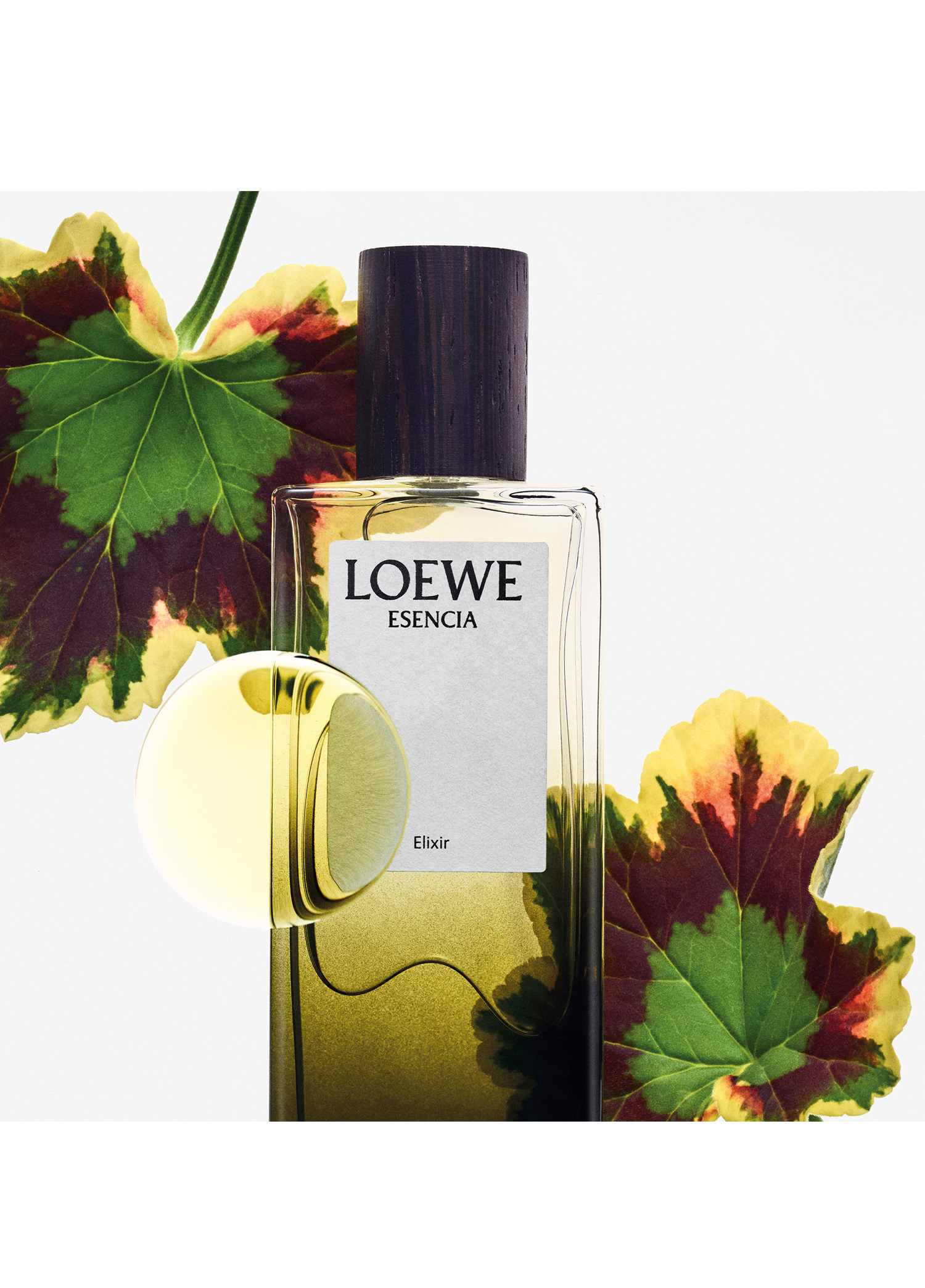 Loewe - Essencia Elixir EDP 100 ml Erkek Parfüm -