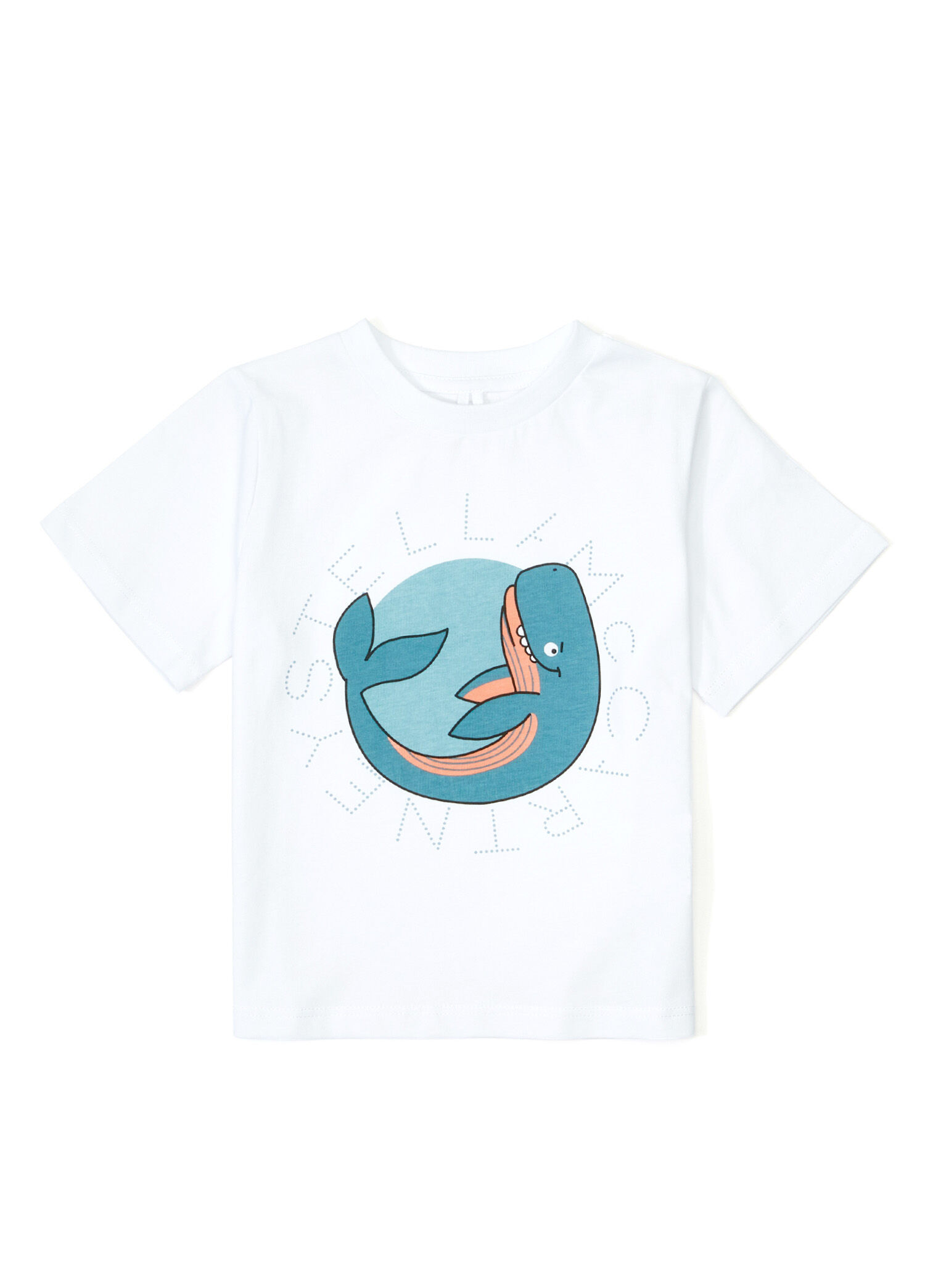 Çok Renkli Erkek Çocuk T-shirt