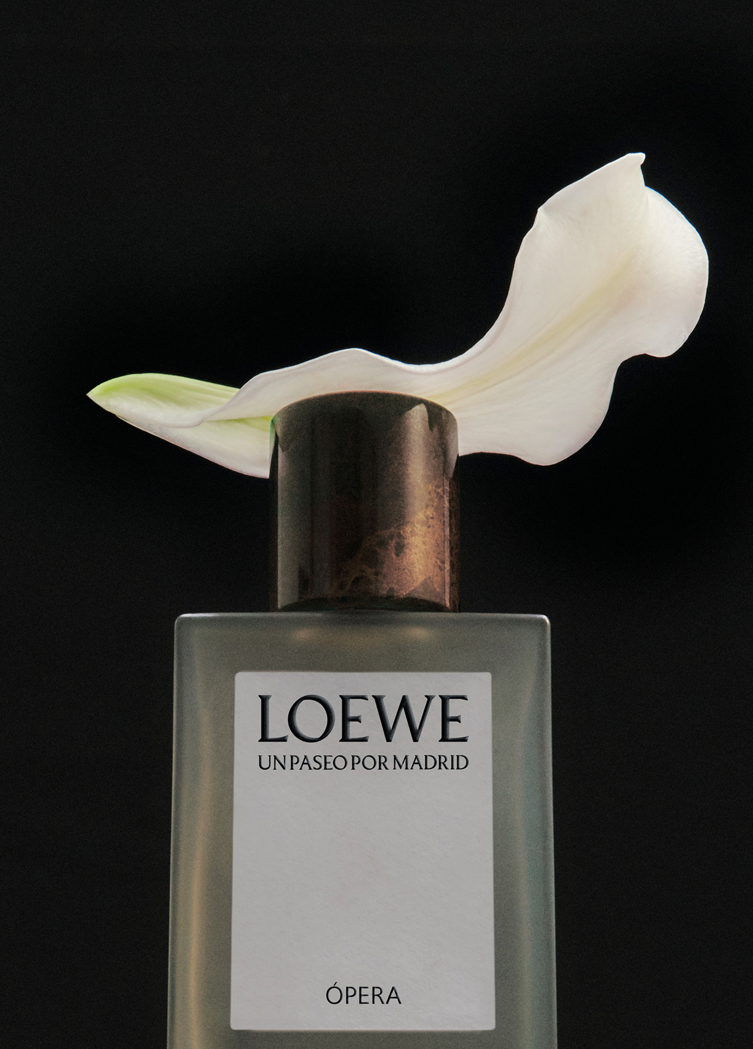 Loewe - Opera EDP 100 ml Parfüm -