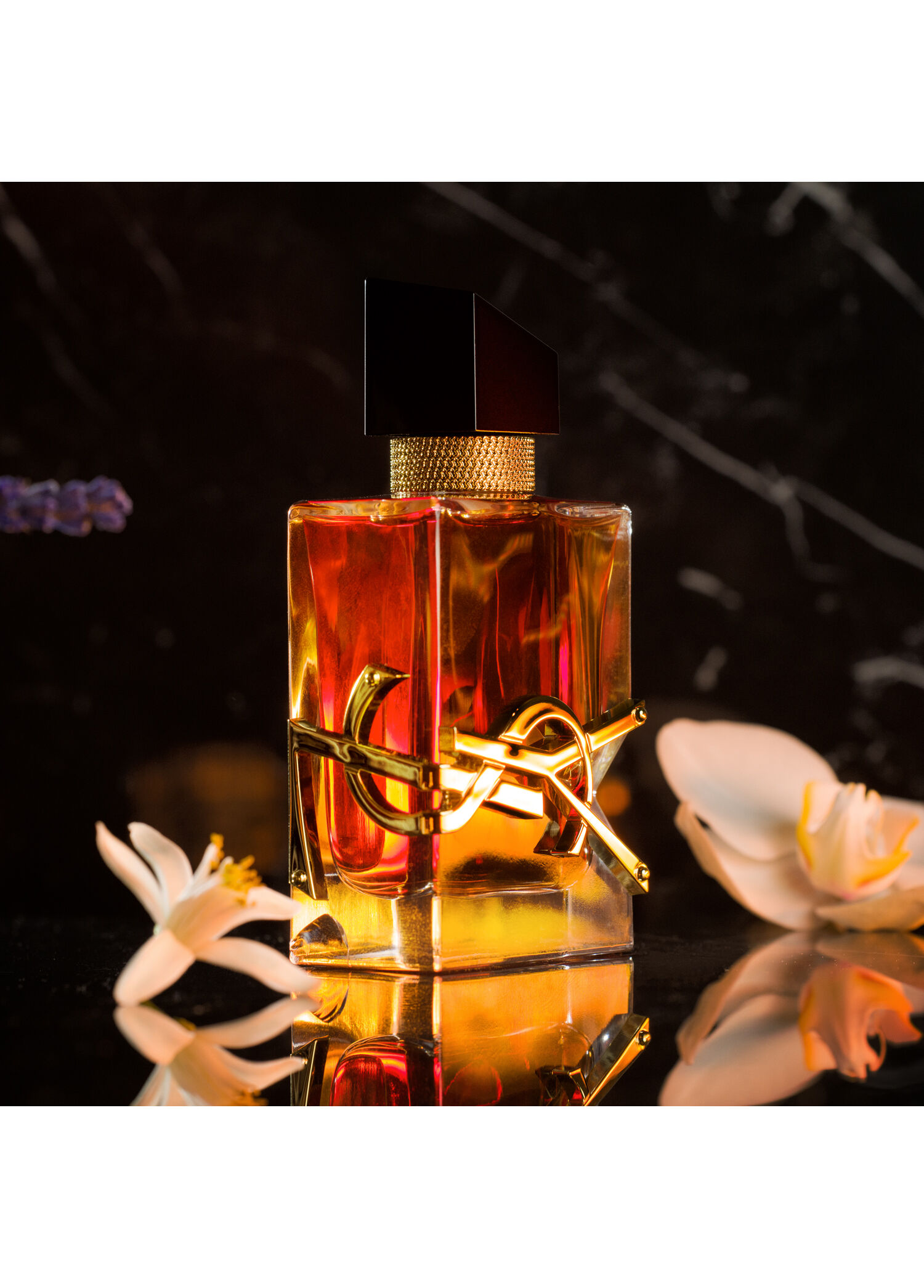 Yves Saint Laurent - Libre Eau De Parfum Intense 50ml -