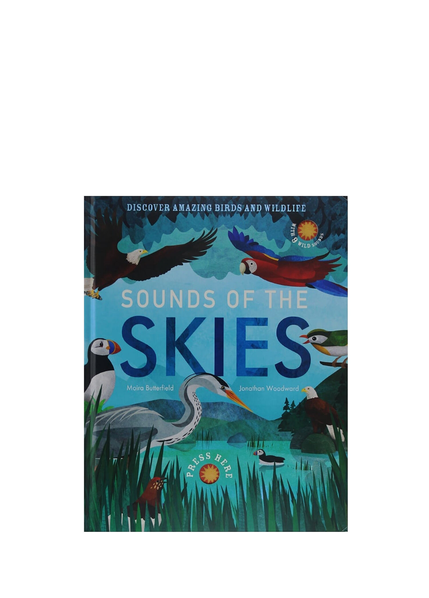 Sounds Of The Skies