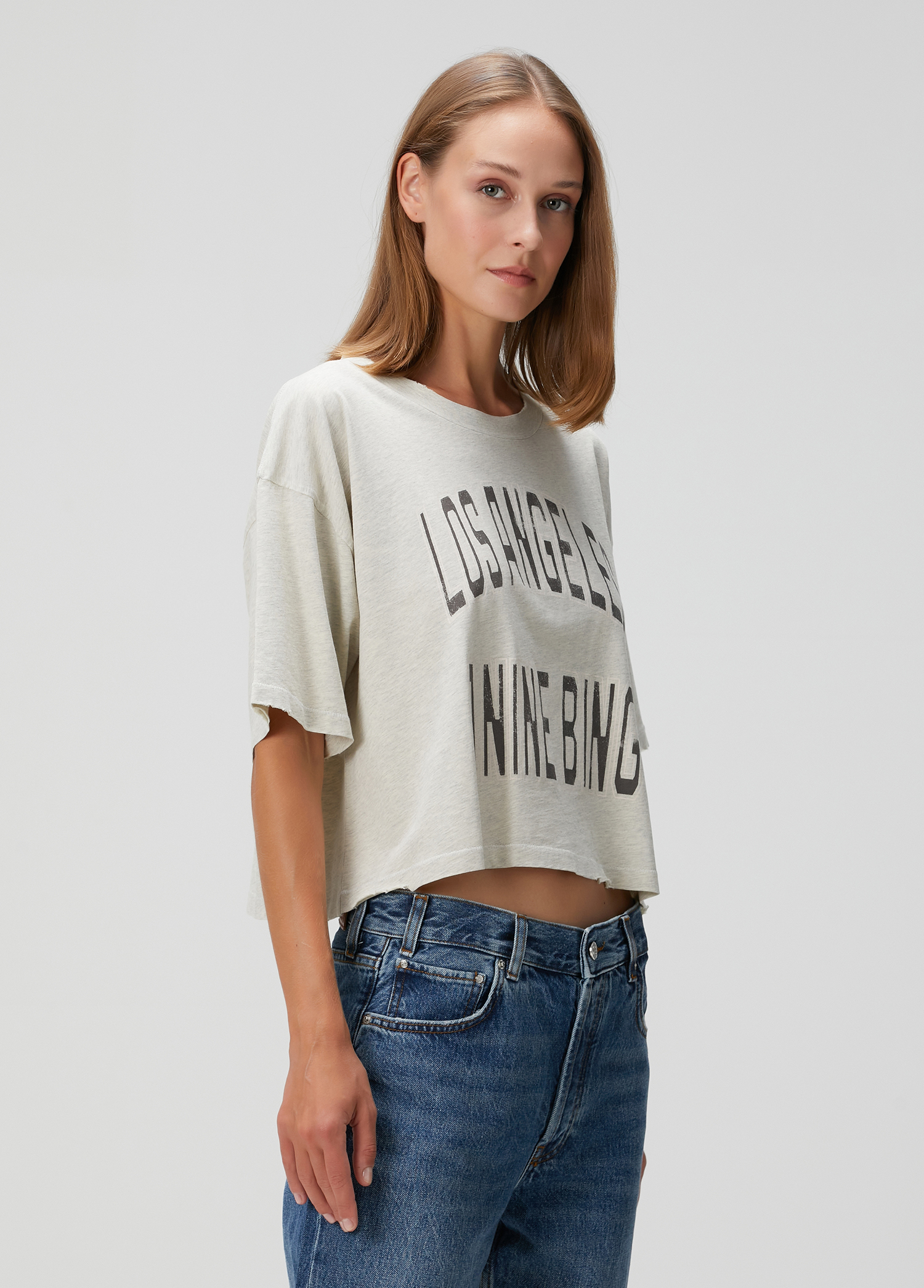 Anine Bing Johnny Gri Baskılı Crop T-shirt