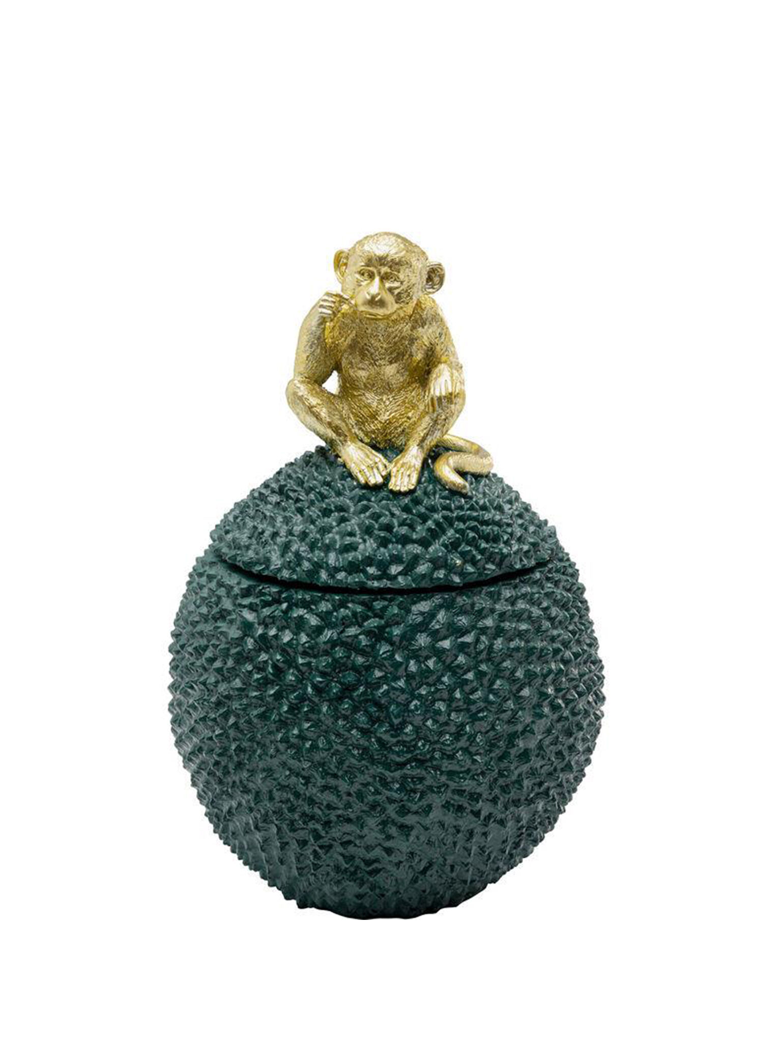 Jackfruit Monkey Renkli Dekoratif Kutu
