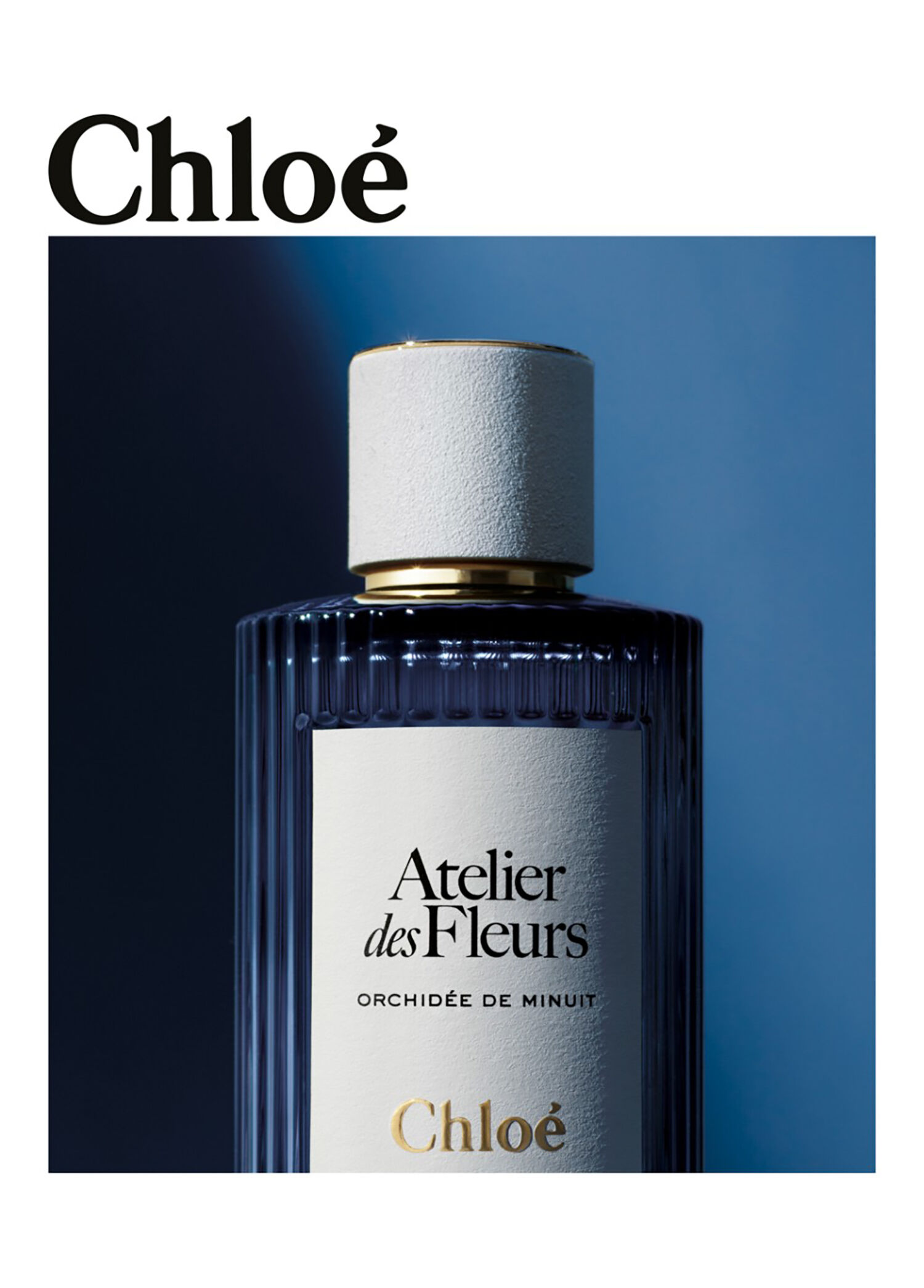 Chloe - Atelier des Fleurs Orchidée de Minuit Edp 150 ML -