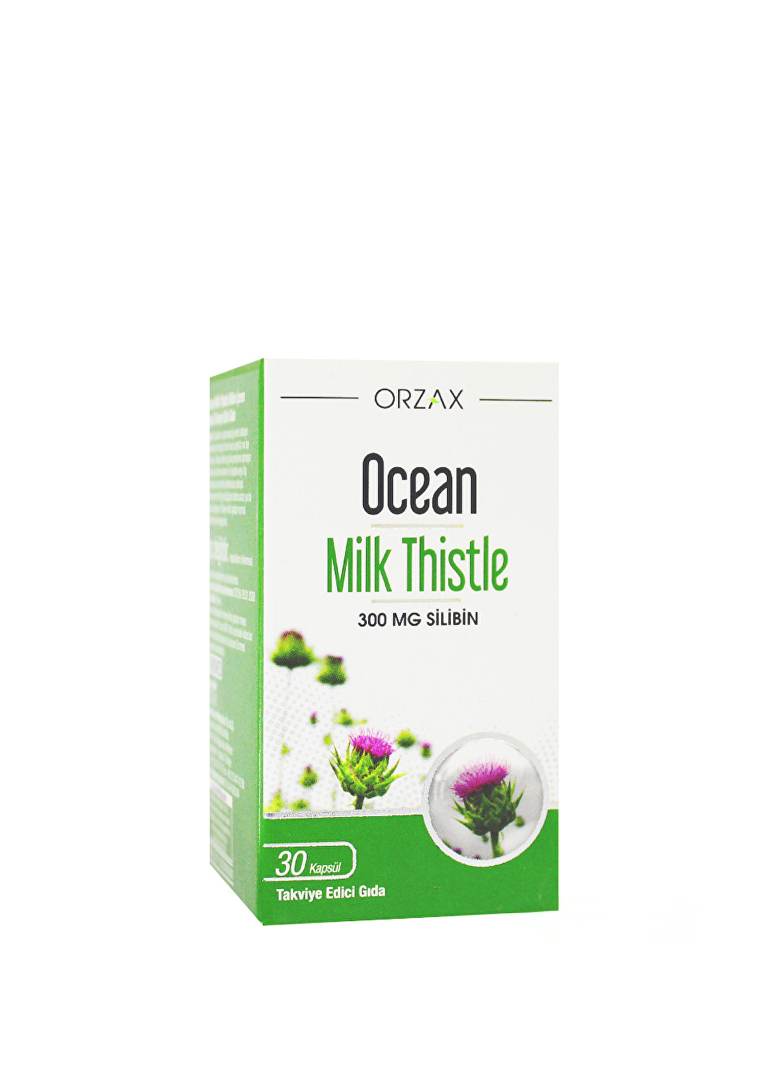 Milk Thistle 300 mg Silibin Takviye Edici Gıda 30 Kapsül