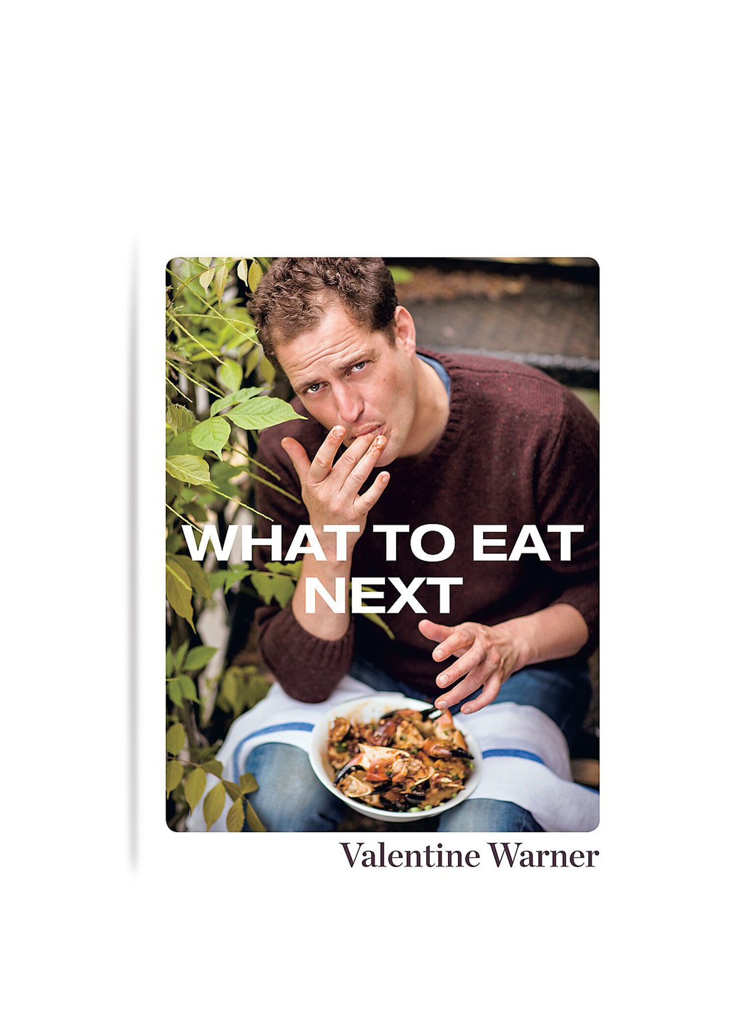 What to Eat Next Yabancı Dil Yemek Kitabı