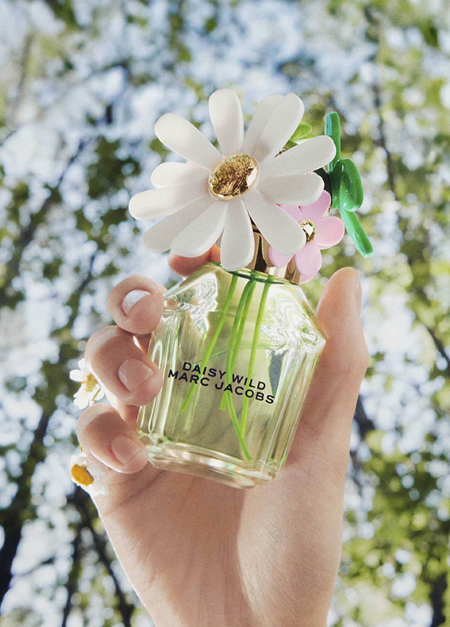香水(女性用) DAISY WILD MARC JACOBS 50ml Marc Jacobs - Daisy Wild EDP 50 ml Kadın Parfüm - Çok Renkli