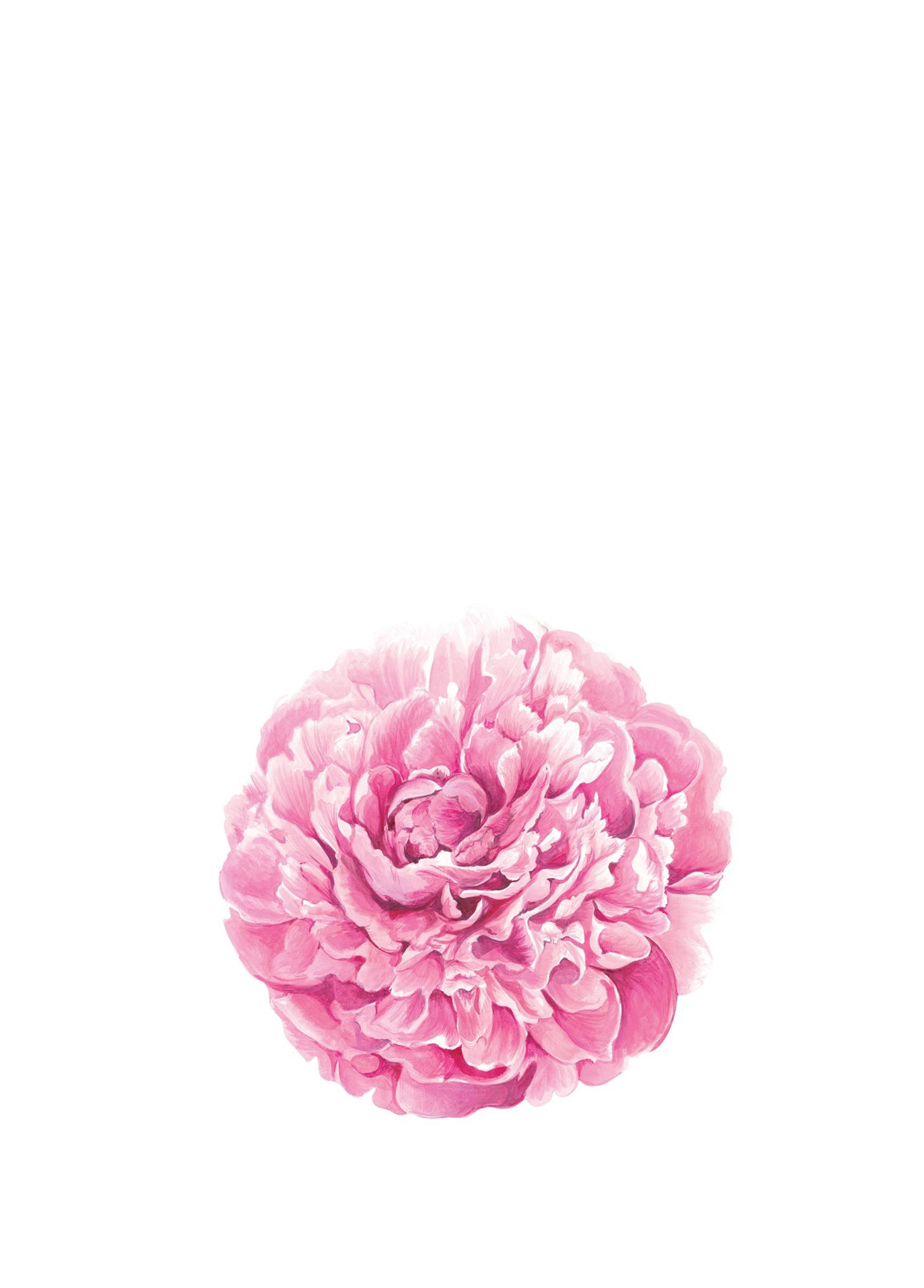 Die Cut Peony 12'li Mutfak Masası Matı