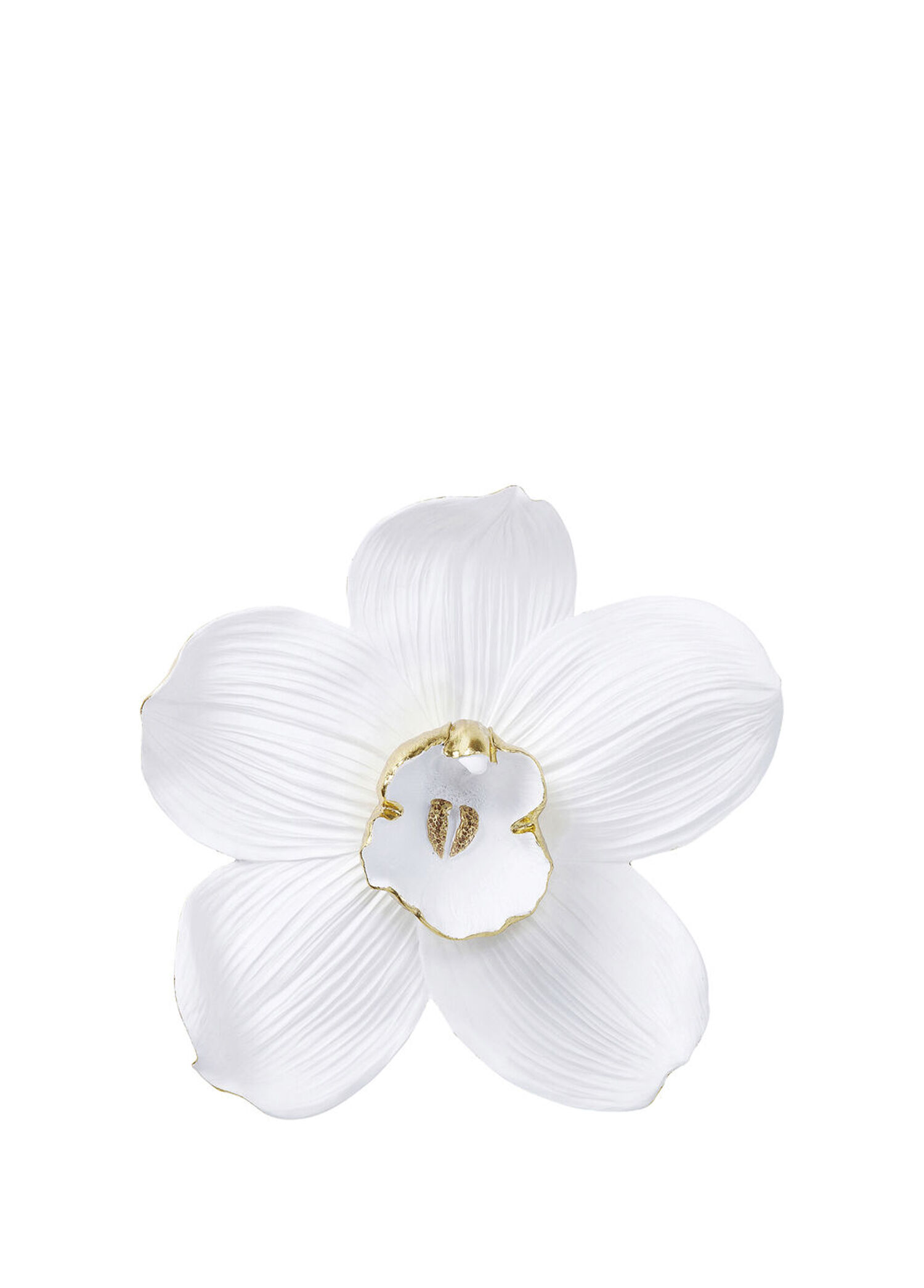 Orchid White Duvar Süsü 54cm