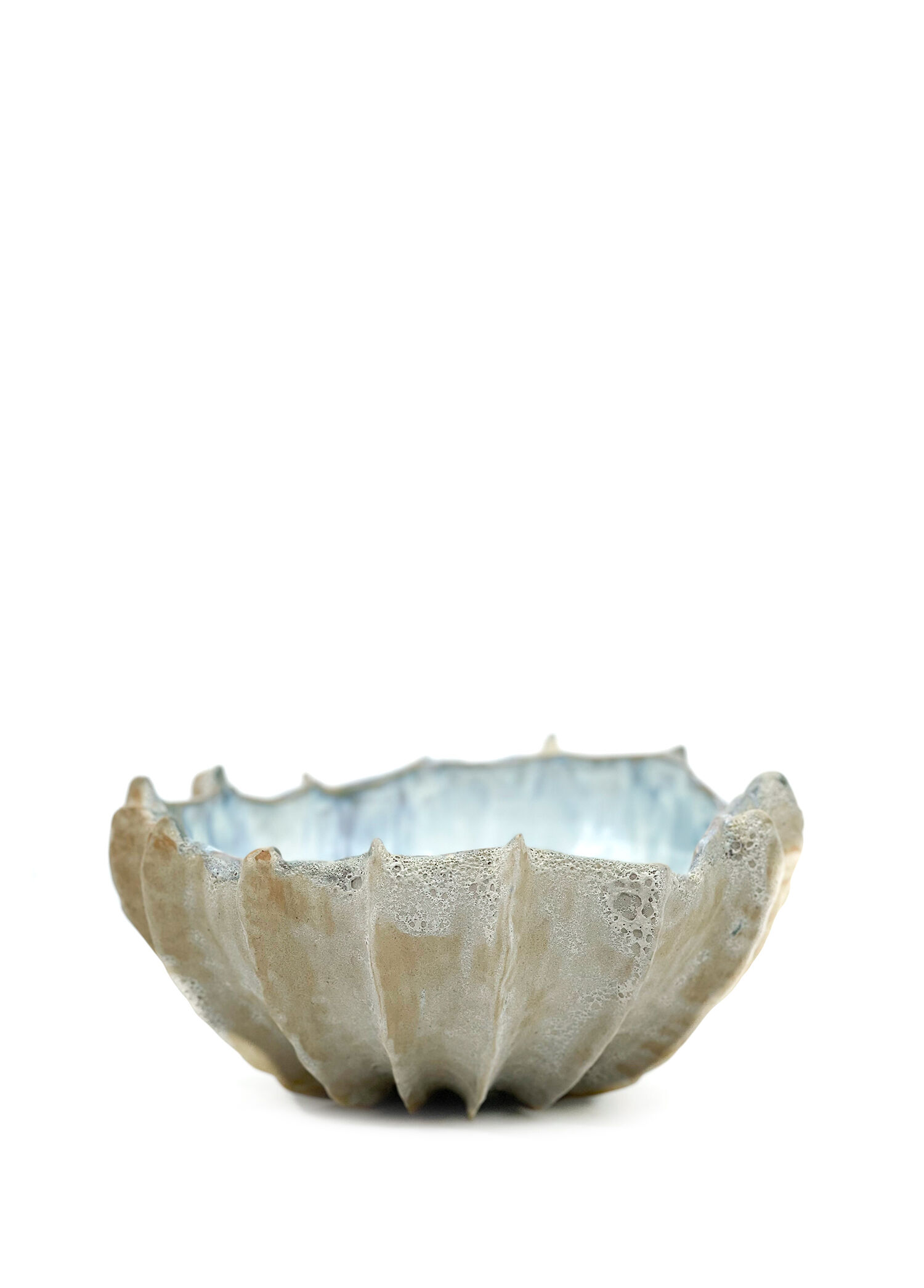 Coral Mavi Beyaz Seramik Kase