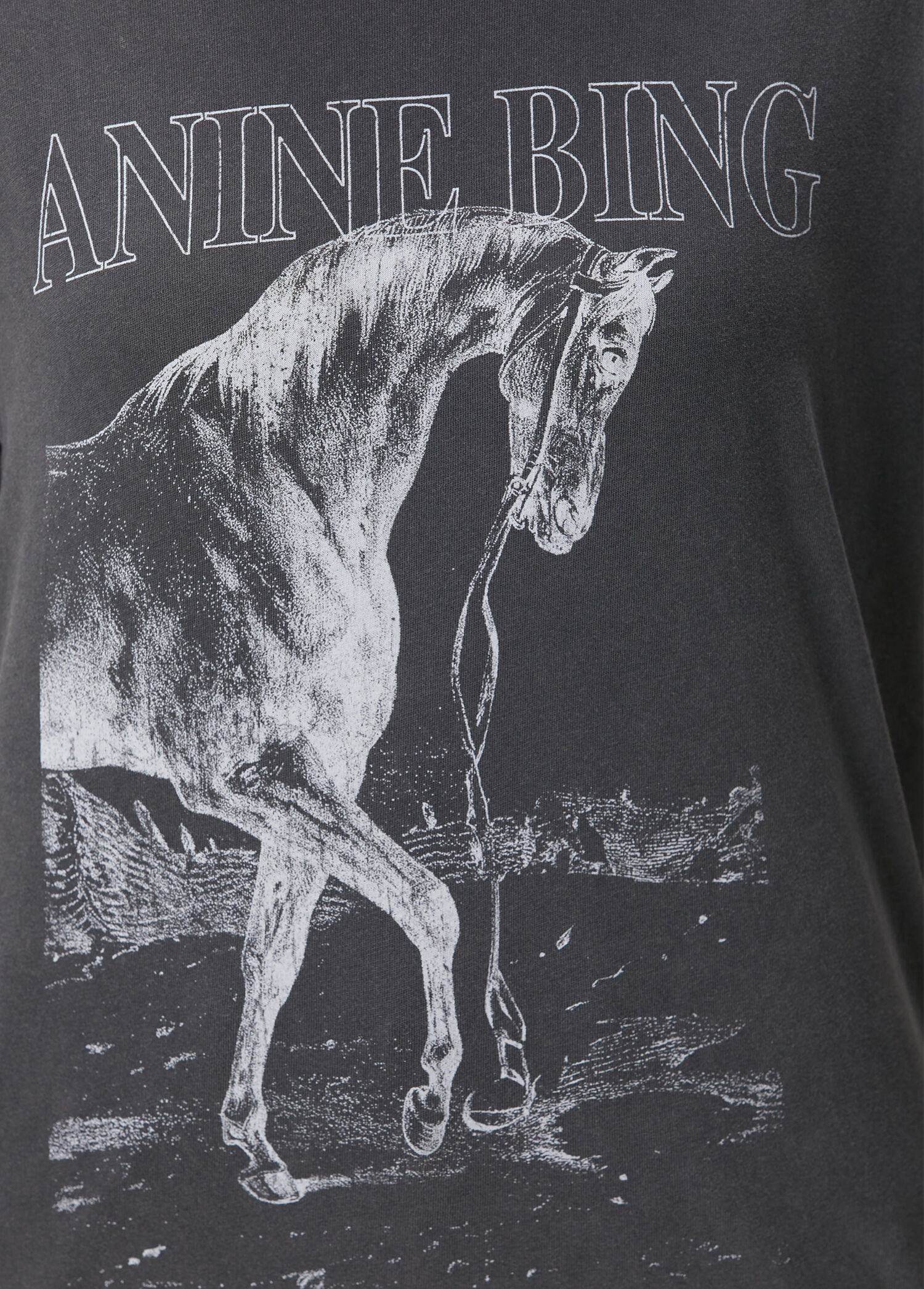 Anine Bing Siyah Kadın TSHIRT 1892294 | Beymen