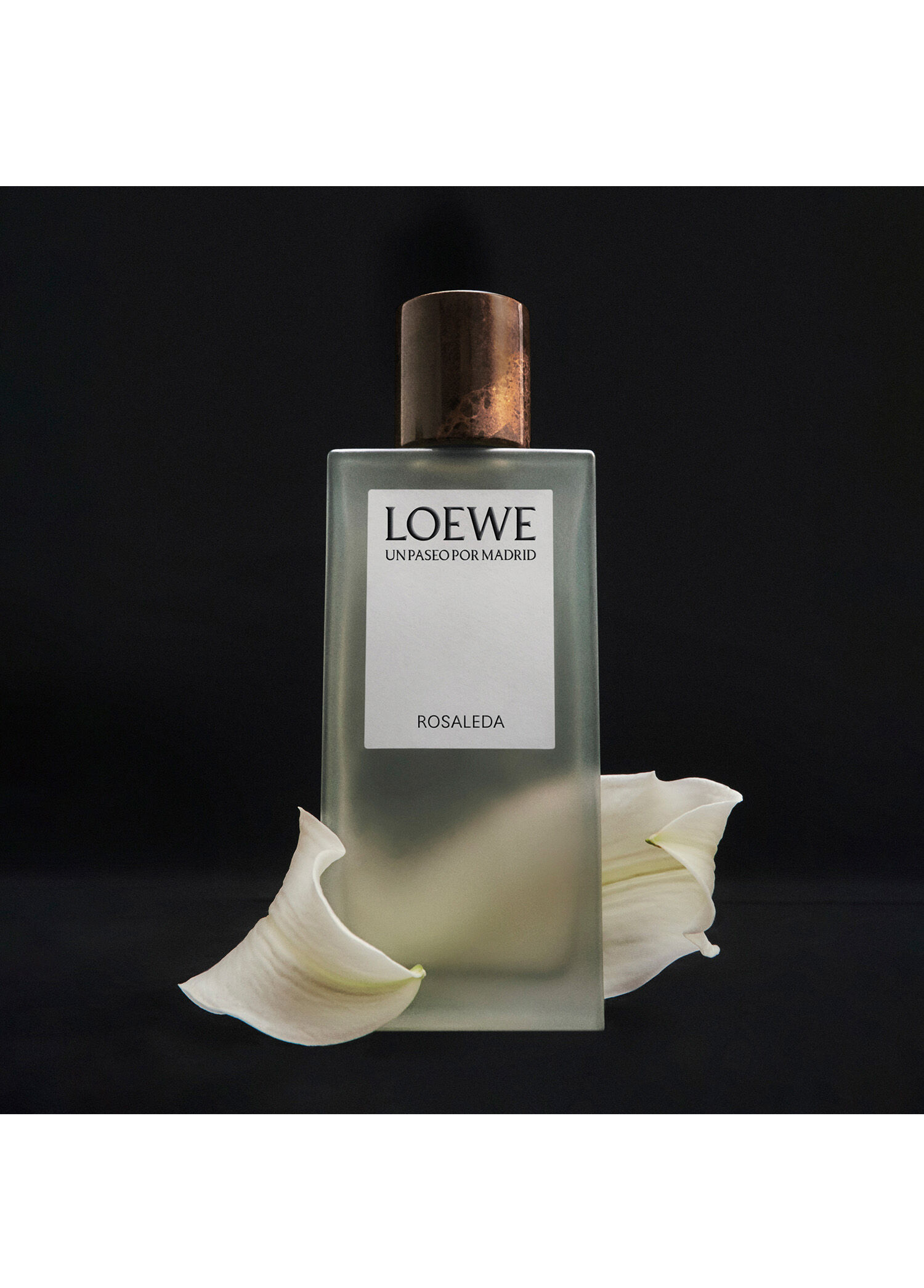 香水(ユニセックス) LOEWE ROSALEDA EDP Loewe - Rosaleda EDP 100 ml Parfüm -